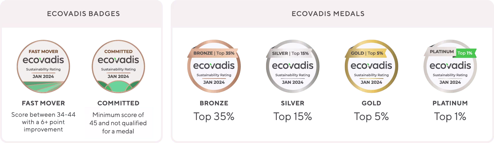 EcoVadis Medals and Badges